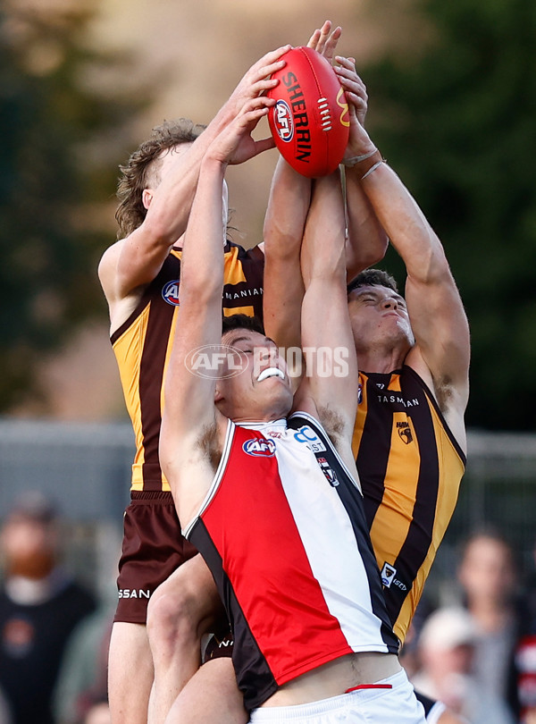 AFL 2024 Round 09 - Hawthorn v St Kilda - A-49120122