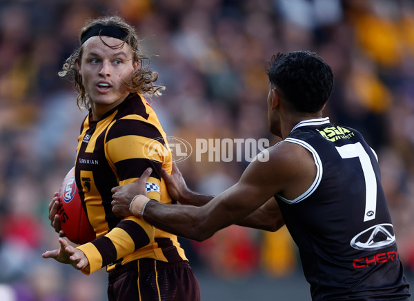 AFL 2024 Round 09 - Hawthorn v St Kilda - A-49120126