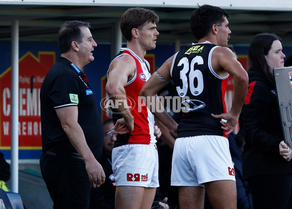 AFL 2024 Round 09 - Hawthorn v St Kilda - A-49120127