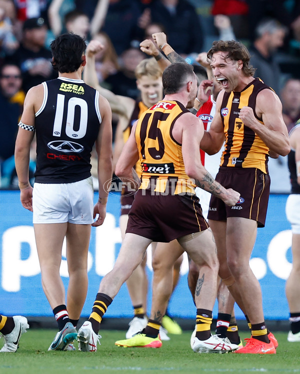 AFL 2024 Round 09 - Hawthorn v St Kilda - A-49120982