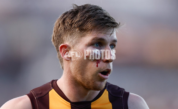 AFL 2024 Round 09 - Hawthorn v St Kilda - A-49121015