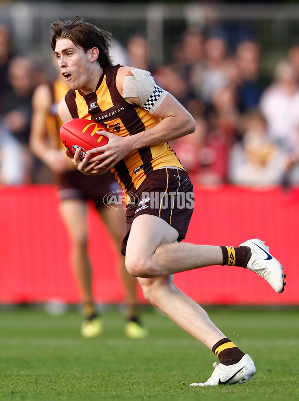 AFL 2024 Round 09 - Hawthorn v St Kilda - A-49121042