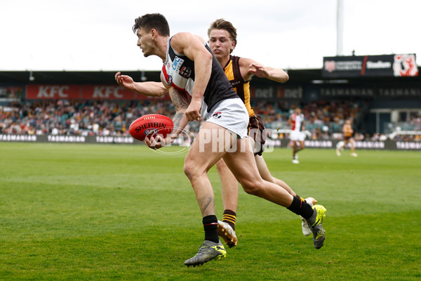 AFL 2024 Round 09 - Hawthorn v St Kilda - A-49123766