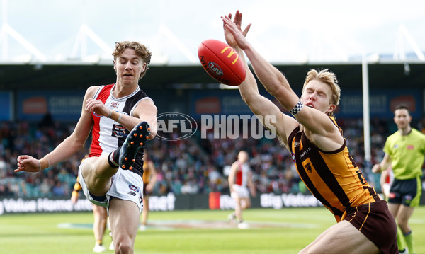 AFL 2024 Round 09 - Hawthorn v St Kilda - A-49125103