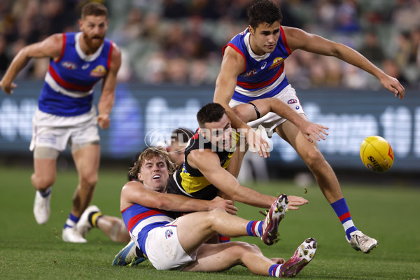 AFL 2024 Round 09 - Richmond v Western Bulldogs - A-49136397