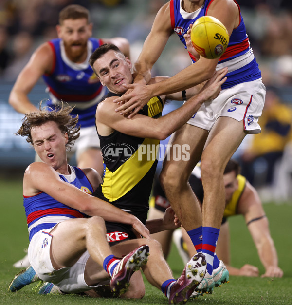 AFL 2024 Round 09 - Richmond v Western Bulldogs - A-49136398