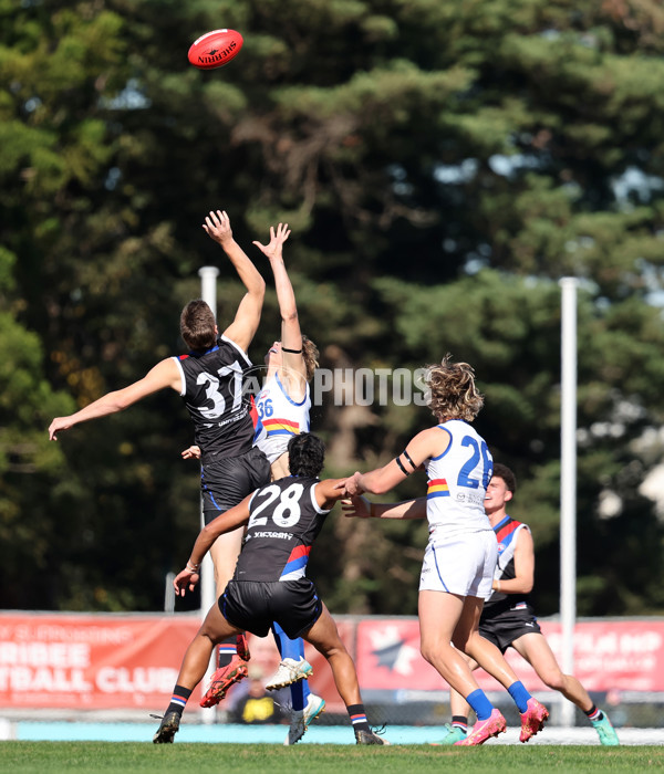 Coates Talent League Boys 2024 - Western Jets v Eastern Ranges - A-49141779