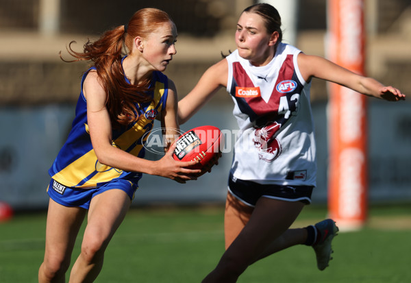 Coates Talent League Girls 2024  - Western Jets v Sandringham - A-49145652