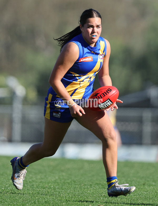 Coates Talent League Girls 2024  - Western Jets v Sandringham - A-49146813