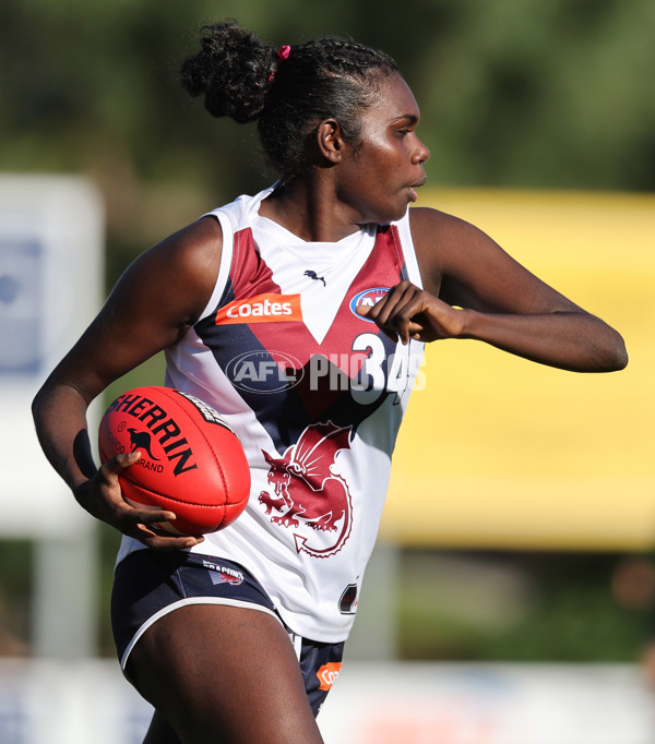 Coates Talent League Girls 2024  - Western Jets v Sandringham - A-49146854