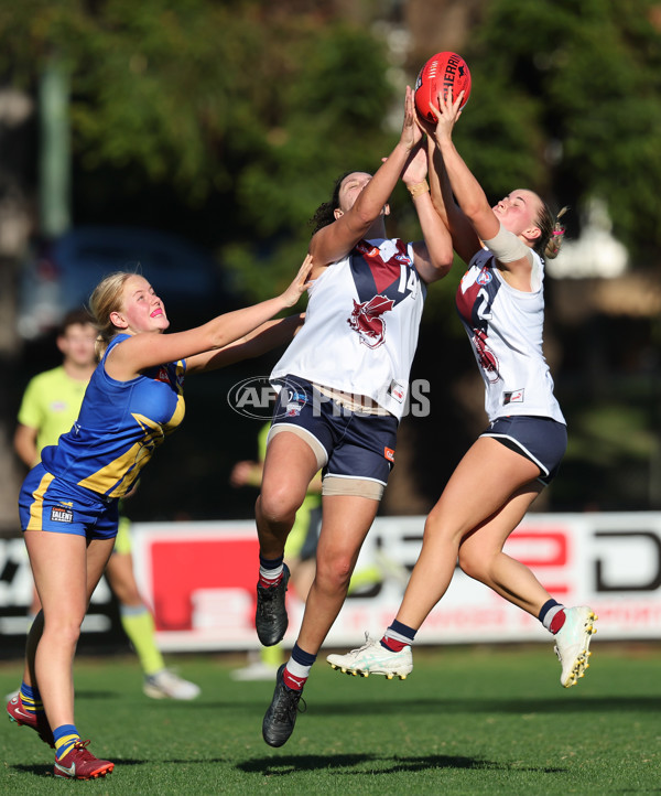 Coates Talent League Girls 2024  - Western Jets v Sandringham - A-49146881