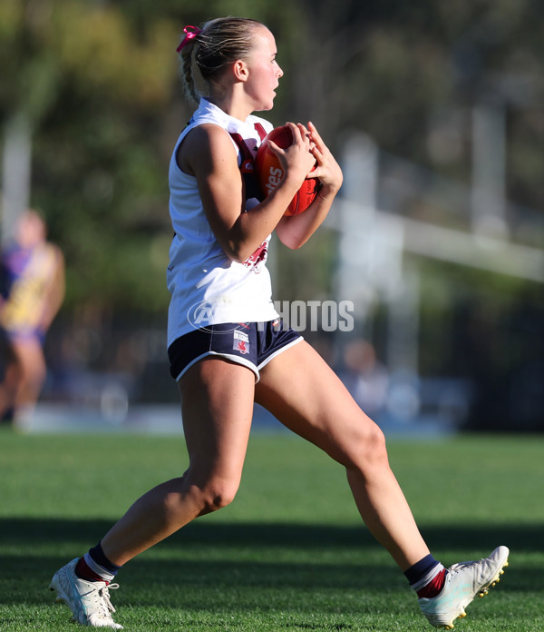 Coates Talent League Girls 2024  - Western Jets v Sandringham - A-49148400