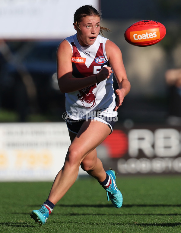 Coates Talent League Girls 2024  - Western Jets v Sandringham - A-49149553