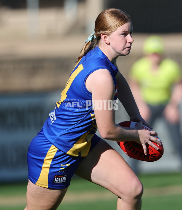 Coates Talent League Girls 2024  - Western Jets v Sandringham - A-49149555