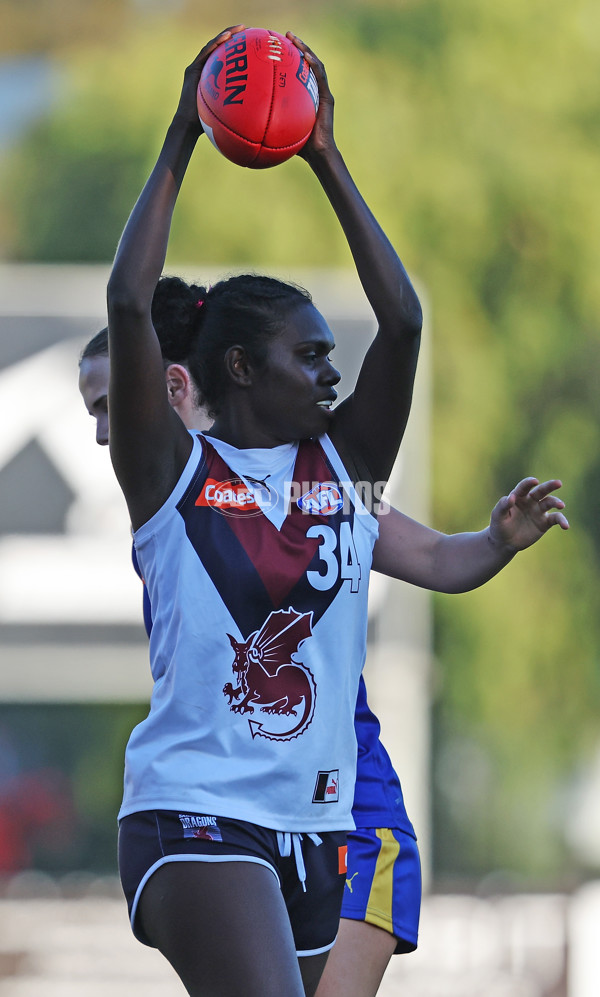 Coates Talent League Girls 2024  - Western Jets v Sandringham - A-49153292