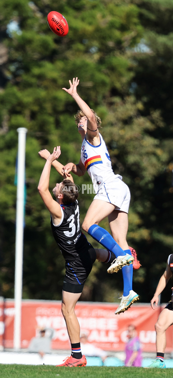 Coates Talent League Boys 2024 - Western Jets v Eastern Ranges - A-49153318