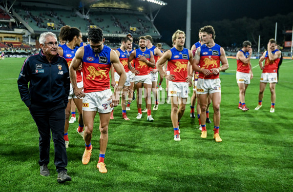 AFL 2024 Round 09 - Adelaide v Brisbane - A-49158329