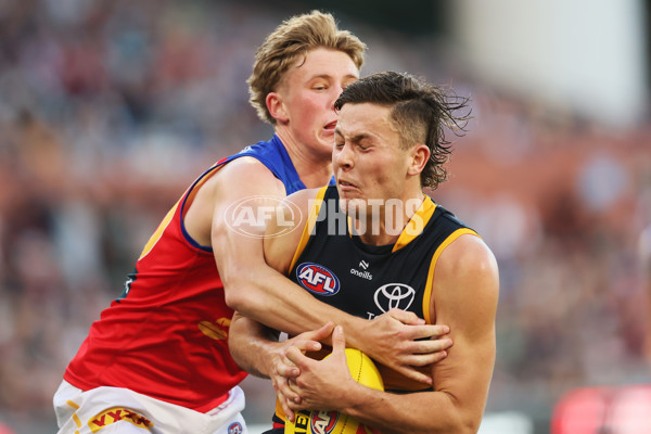AFL 2024 Round 09 - Adelaide v Brisbane - A-49163201