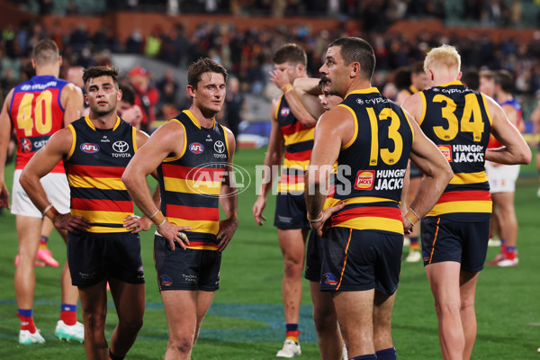 AFL 2024 Round 09 - Adelaide v Brisbane - A-49164082