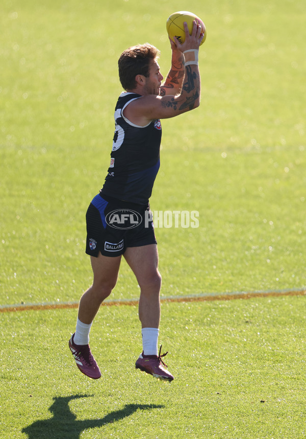 AFL 2024 Training - Western Bulldogs 160524 - A-49405629