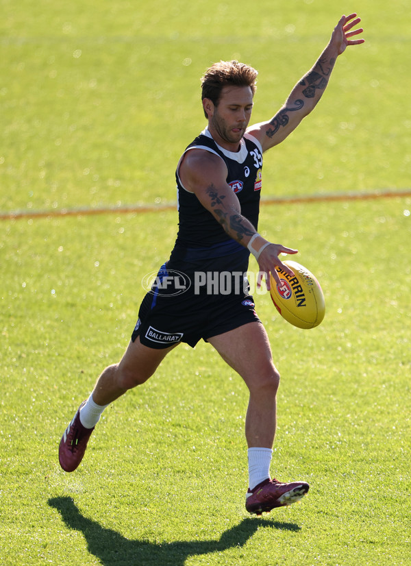 AFL 2024 Training - Western Bulldogs 160524 - A-49405630