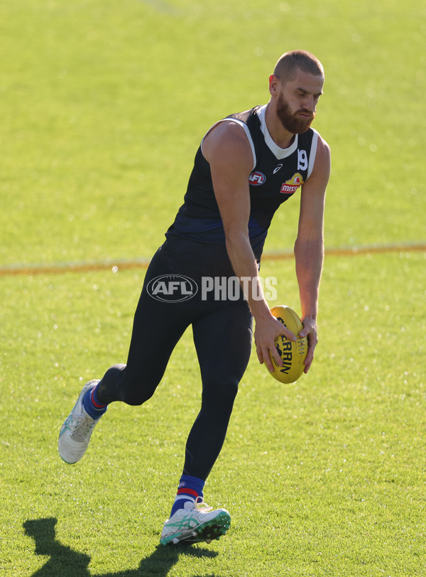 AFL 2024 Training - Western Bulldogs 160524 - A-49405631