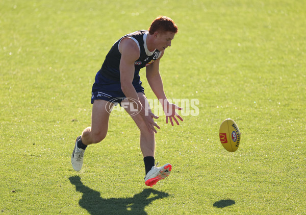 AFL 2024 Training - Western Bulldogs 160524 - A-49405652