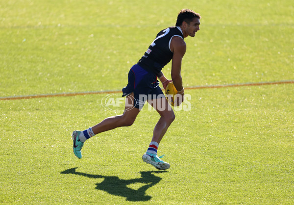 AFL 2024 Training - Western Bulldogs 160524 - A-49405800