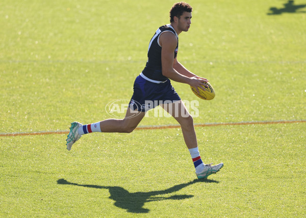 AFL 2024 Training - Western Bulldogs 160524 - A-49405818