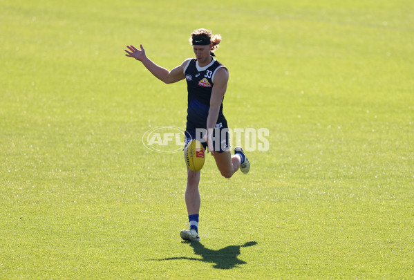 AFL 2024 Training - Western Bulldogs 160524 - A-49405825