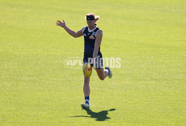 AFL 2024 Training - Western Bulldogs 160524 - A-49405825