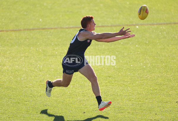 AFL 2024 Training - Western Bulldogs 160524 - A-49405831