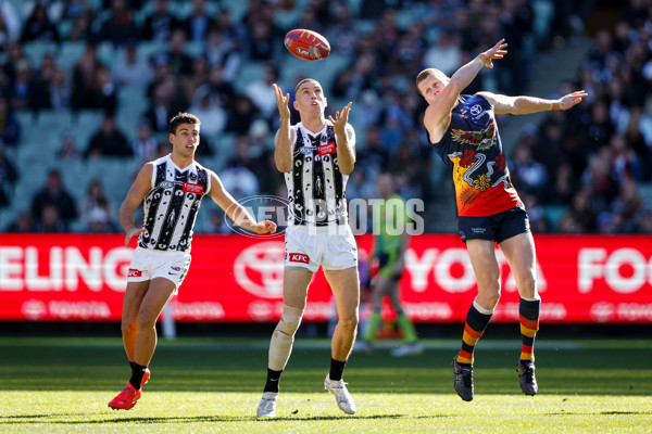 AFL 2024 Round 10 - Collingwood v Kuwarna - A-49454788