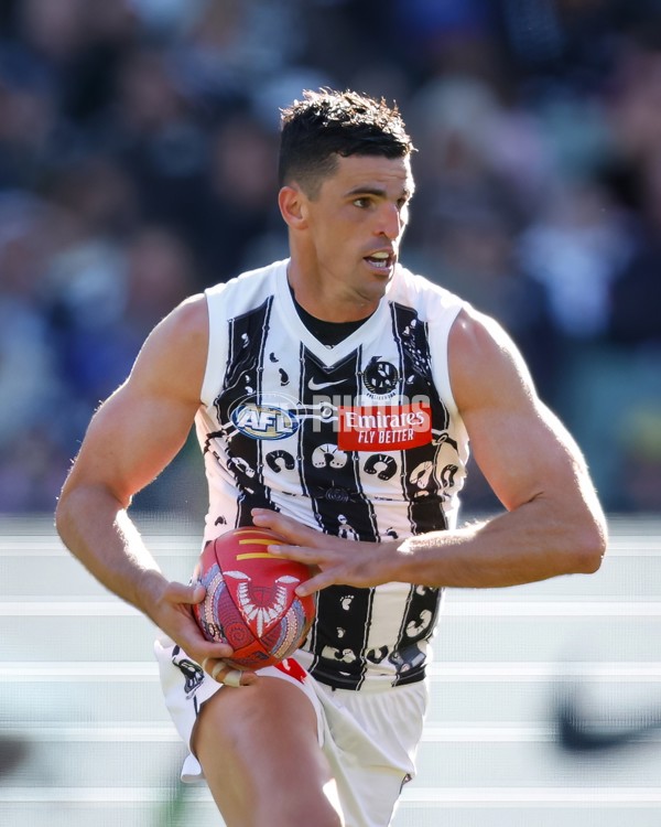 AFL 2024 Round 10 - Collingwood v Kuwarna - A-49454817
