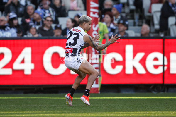 AFL 2024 Round 10 - Collingwood v Kuwarna - A-49454841