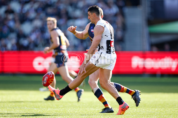 AFL 2024 Round 10 - Collingwood v Kuwarna - A-49454845