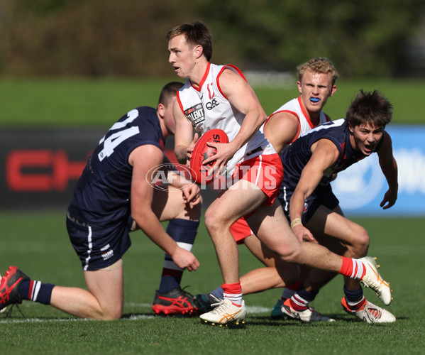 Coates League Boys 2024 Round 08 - Sandringham v Sydney Swans Academy - A-49455361