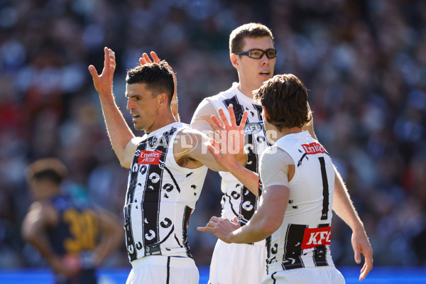 AFL 2024 Round 10 - Collingwood v Kuwarna - A-49455376