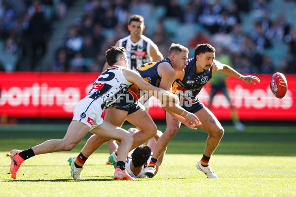 AFL 2024 Round 10 - Collingwood v Kuwarna - A-49455380