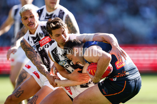 AFL 2024 Round 10 - Collingwood v Kuwarna - A-49455382