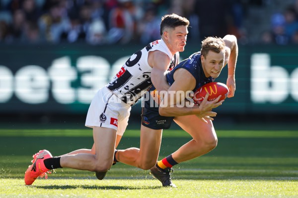 AFL 2024 Round 10 - Collingwood v Kuwarna - A-49455410