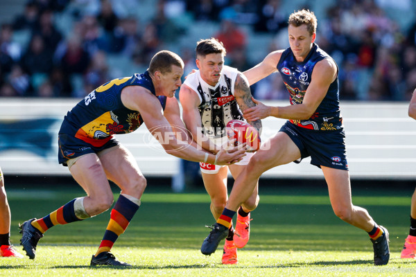 AFL 2024 Round 10 - Collingwood v Kuwarna - A-49455414