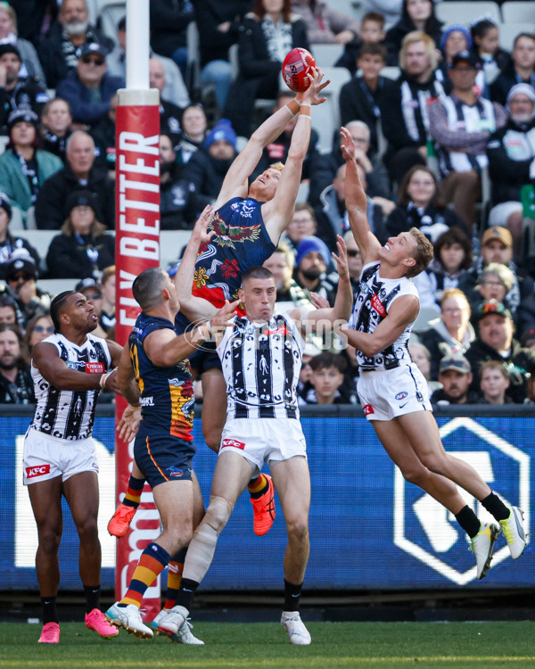 AFL 2024 Round 10 - Collingwood v Kuwarna - A-49455417