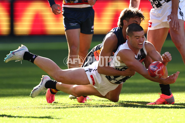 AFL 2024 Round 10 - Collingwood v Kuwarna - A-49455436