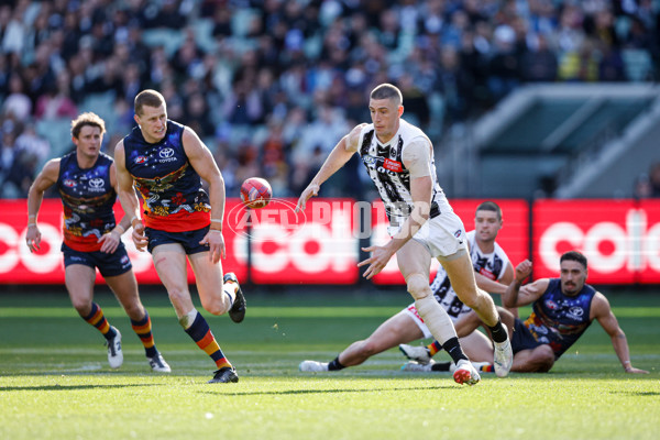 AFL 2024 Round 10 - Collingwood v Kuwarna - A-49455444