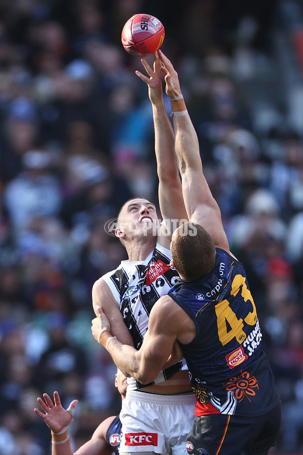 AFL 2024 Round 10 - Collingwood v Kuwarna - A-49457384