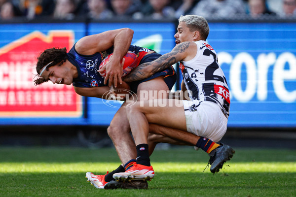 AFL 2024 Round 10 - Collingwood v Kuwarna - A-49457462