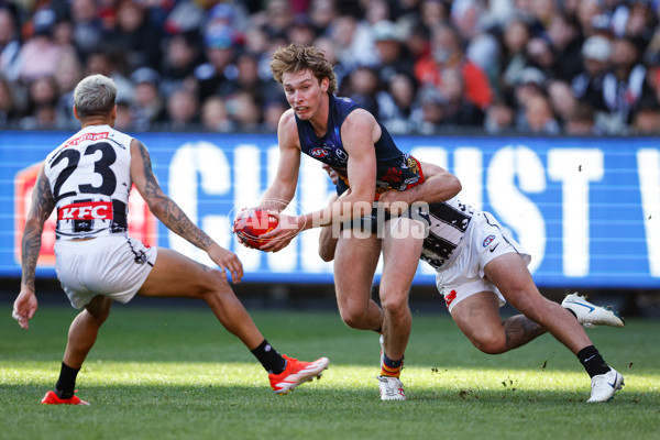 AFL 2024 Round 10 - Collingwood v Kuwarna - A-49457464