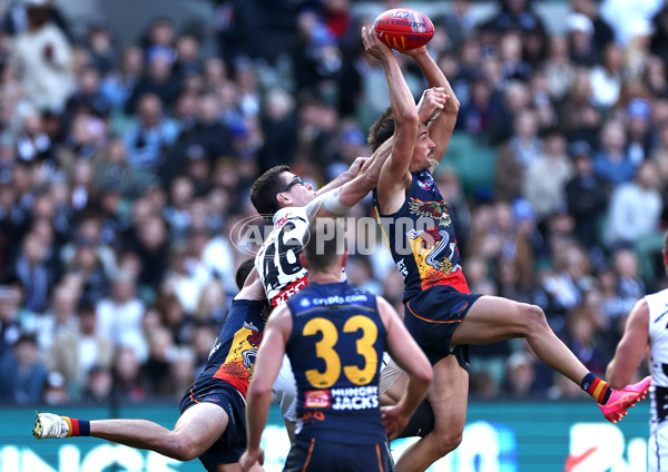 AFL 2024 Round 10 - Collingwood v Kuwarna - A-49457683