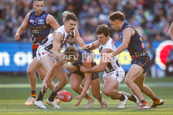 AFL 2024 Round 10 - Collingwood v Kuwarna - A-49457689